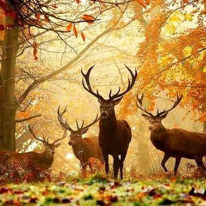 Meet your Posher, Philip